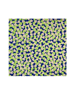 Pocket Square - Hearty Print
